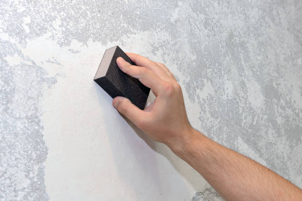 Reliable Derby, CO Mold Removal Solutions